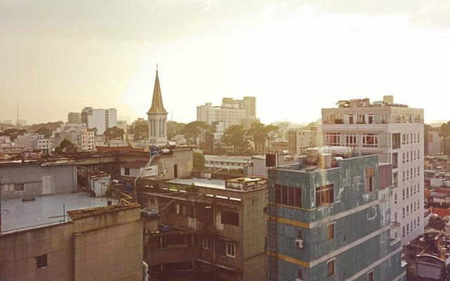 Best Supplements for Bloodhounds 2026 — Joint, Gut, Coat & Calming Picks