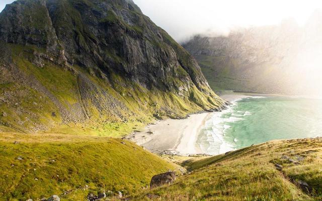 Best Supplements for Bull Terriers 2026 — Joint, Gut, Coat & Calming Picks